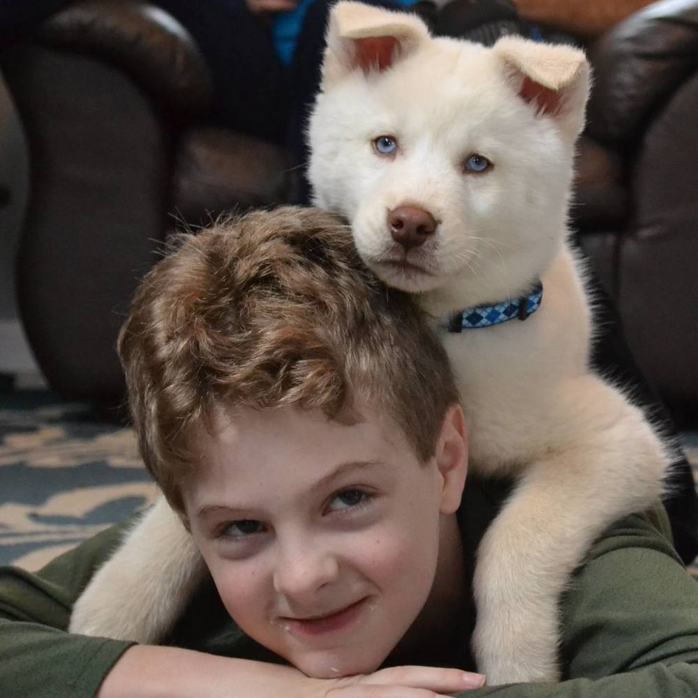 Meet your Posher, Cara